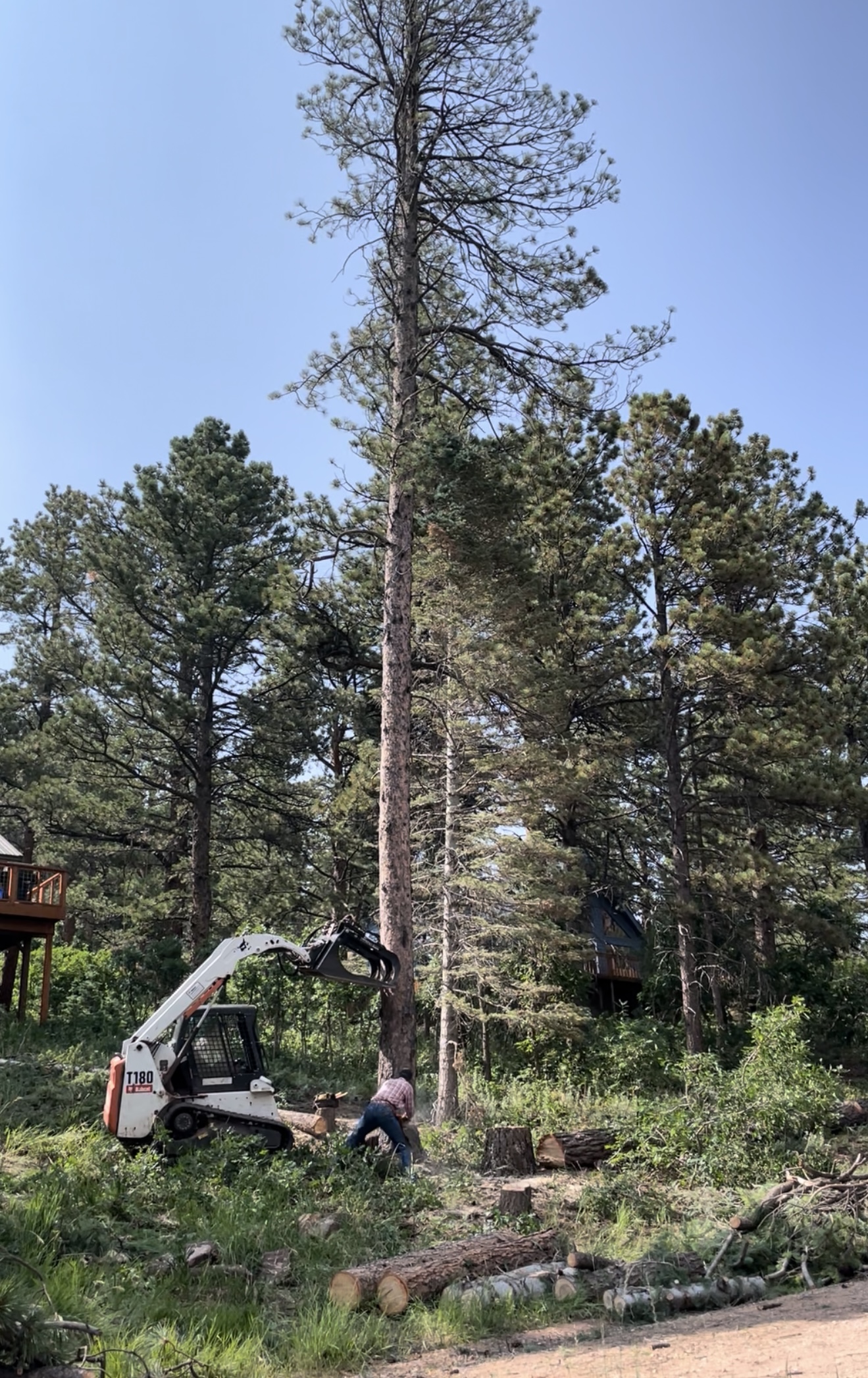 Pinehaven in Cuchara's Bi-Annual Forest Debris Pick-up Pinehaven in Cuchara's Bi-Annual Forest Debris Pick-up